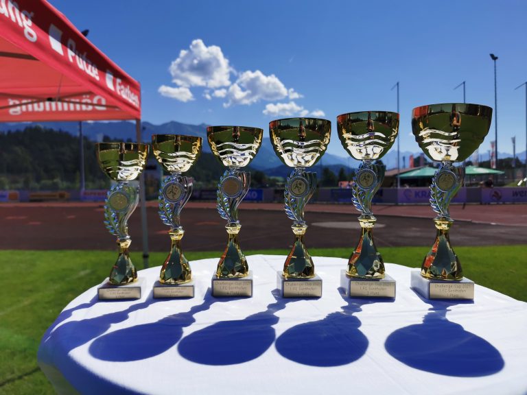Read more about the article Challenge-Cup der F-Junioren…. Großer Fußball von kleinen Kids!