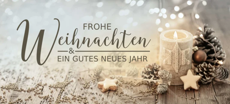Mehr über den Artikel erfahren Frohe Weihnachten und einen guten Rutsch ins neue Jahr
