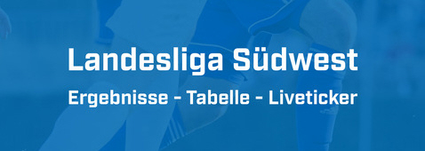 Logo Landesliga Südwe